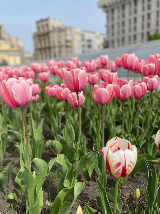 Однокімнатні апартаменти на Майдані, безконтактне заселення 24х7 Киев Экстерьер фото